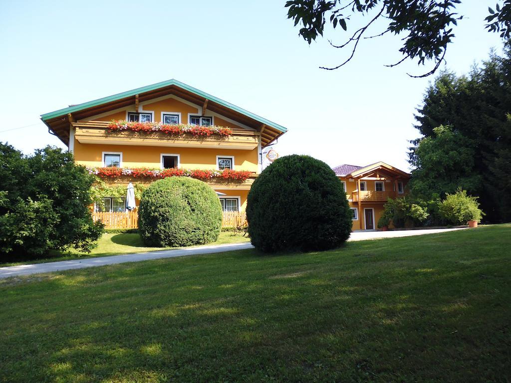 Pension David Puch bei Hallein Ngoại thất bức ảnh