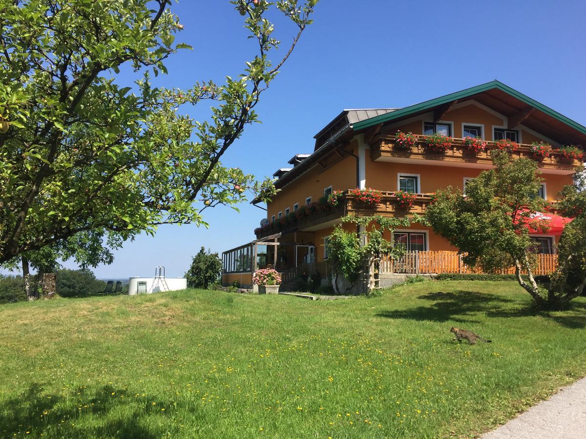 Pension David Puch bei Hallein Ngoại thất bức ảnh